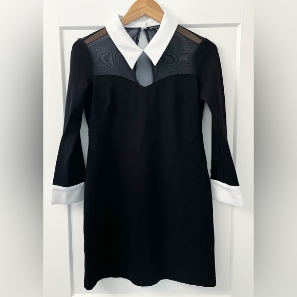 Boston Proper Black Sheer Mesh Panel Dress White Collar Cuffs Size 10 - Picture 5 of 11